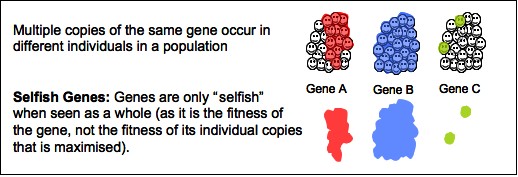 selfish-gene-confusion-and-its-interdisciplinary-roots-science-2-0